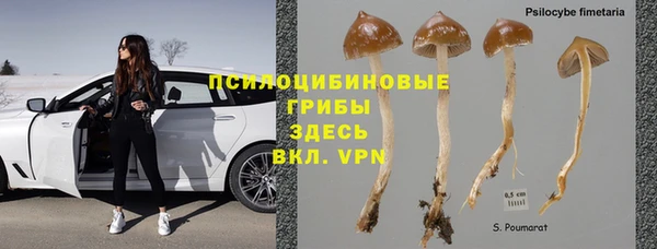 стаф Новодвинск