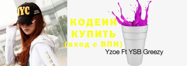 спиды Анива