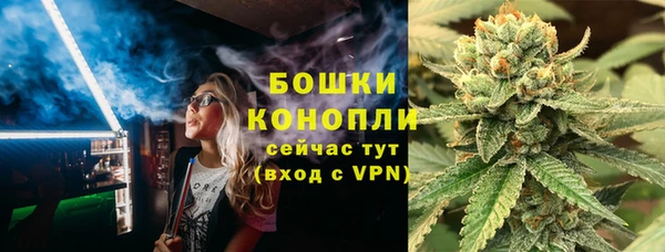 стаф Новодвинск