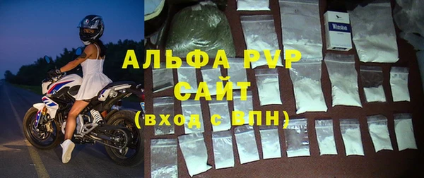 ECSTASY Новозыбков