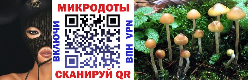 Псилоцибиновые грибы мицелий  Ейск 