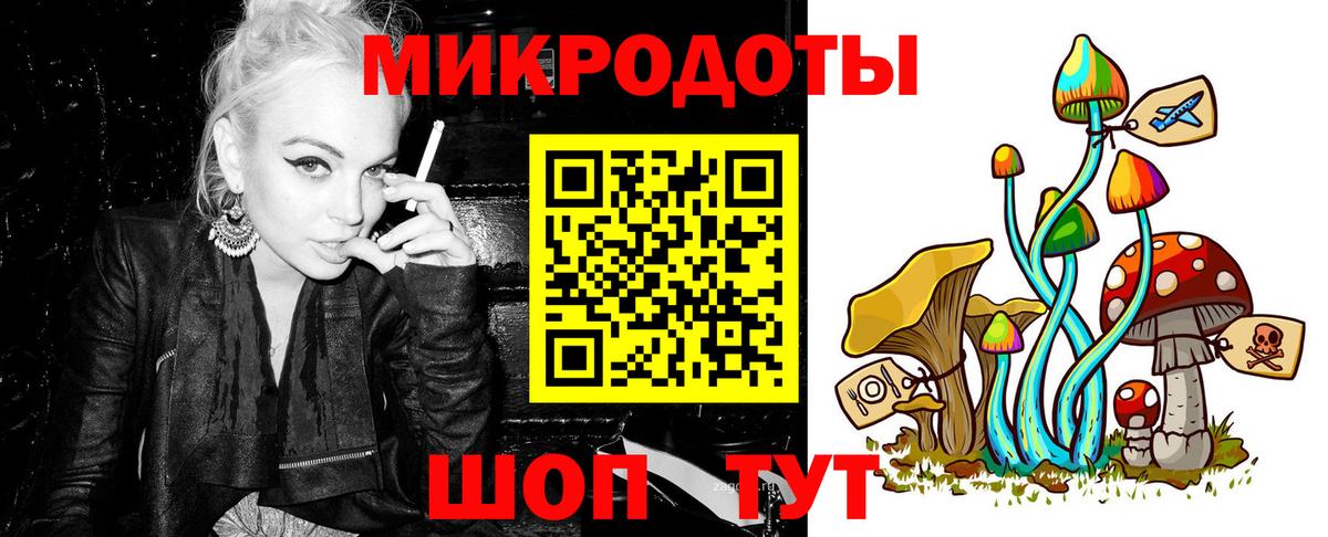 Галлюциногенные грибы Psilocybe Ейск