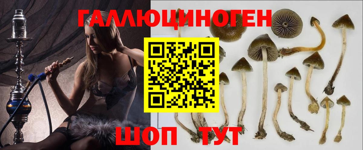 Галлюциногенные грибы прущие грибы Ейск