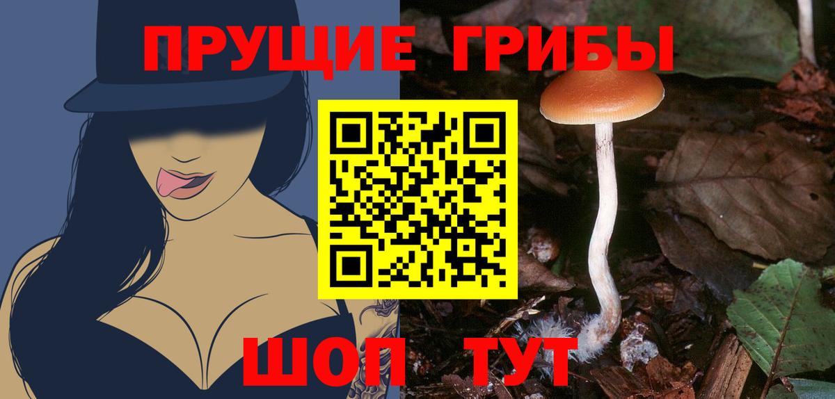 Ейск  Псилоцибиновые грибы Cubensis  купить   Вход с VPN 
